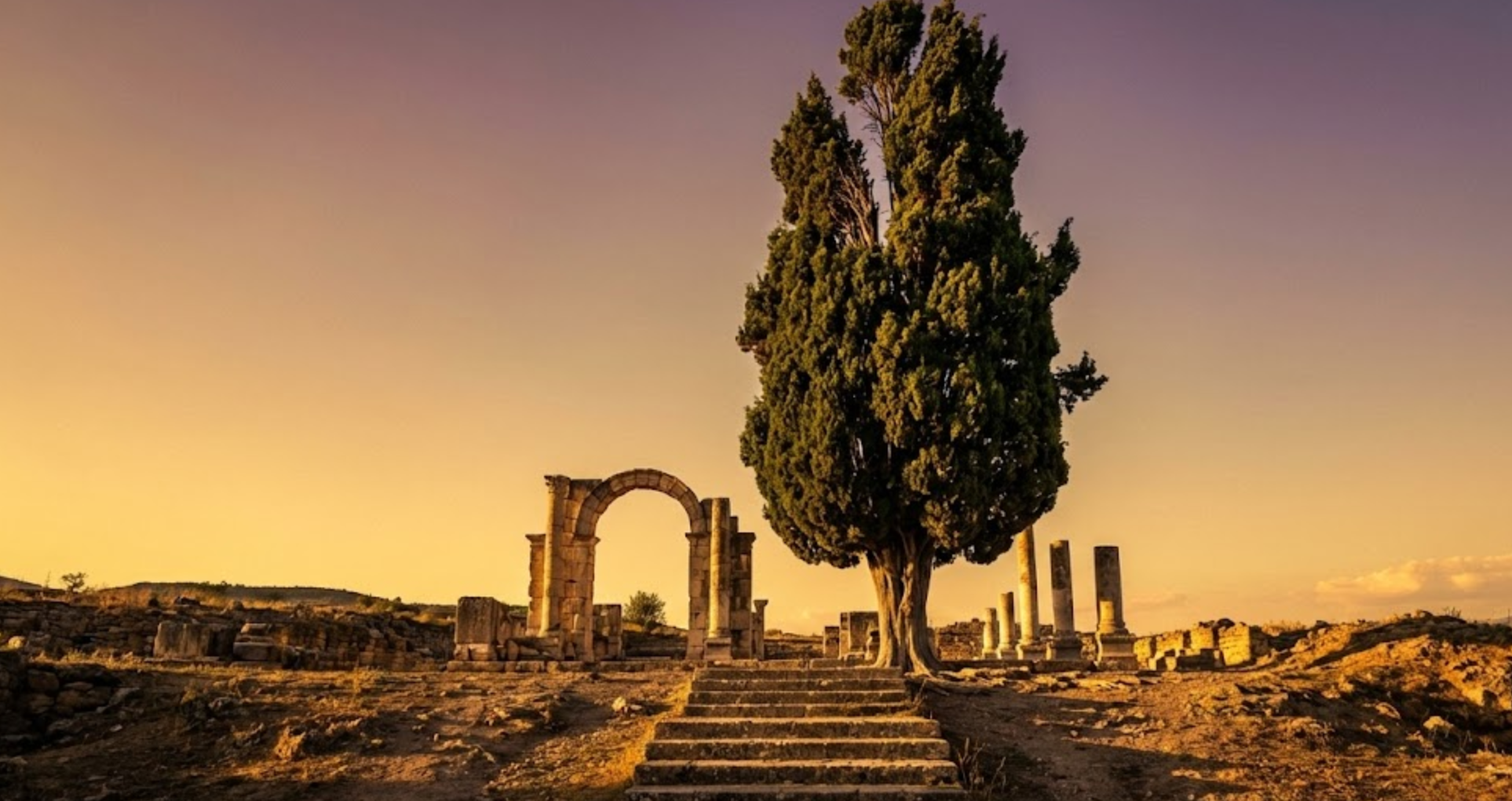 Die Mittelmeer-Zypresse (Servi) in Anatolien: Ein Symbol der Beständigkeit und antikes Heilmittel, verehrt von Dioskurides und Galenos.